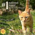 Hypoallergenic Cat Shampoo, Unscented, 10 Fl Oz, 2-Pk