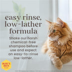 Hypoallergenic Cat Shampoo, Unscented, 10 Fl Oz, 2-Pk